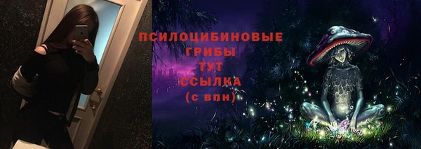 PSILOCYBIN Арсеньев