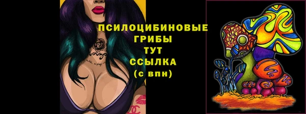 дмт Аркадак