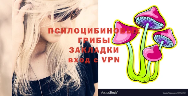 дмт Аркадак