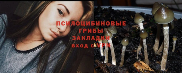 гидропоника Осинники