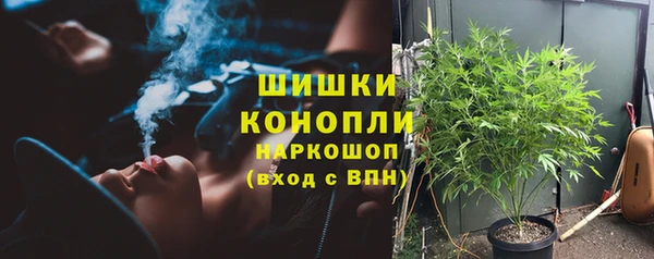 PSILOCYBIN Арсеньев