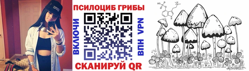где можно купить   Покровск  Псилоцибиновые грибы Magic Shrooms 